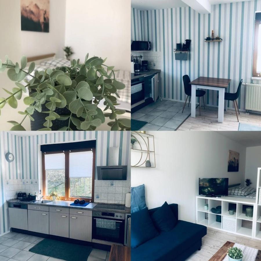 Ferienwohnung Shakira Penig Dış mekan fotoğraf